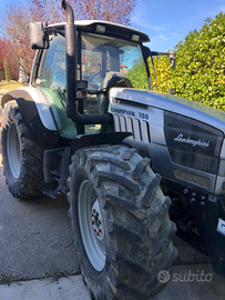 Lamborghini champion 150