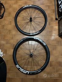 RUOTE IN CARBONIO URSUS come nuove