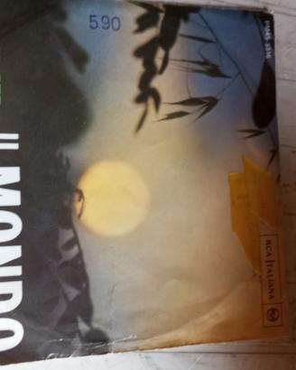 disco vinile 45 giri 