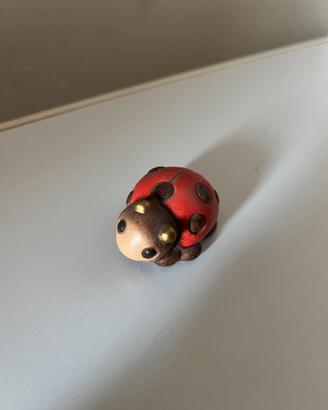 Coccinella Thun