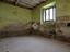 Immagine 21