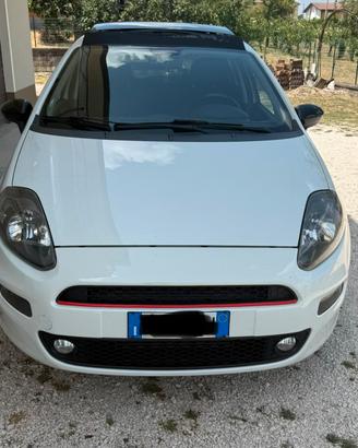 Punto Evo