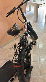 Bici elettrica