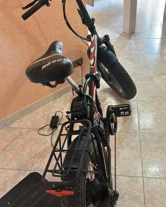 Bici elettrica