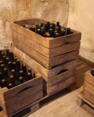 Bottiglie di Vino 