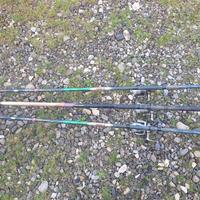 Canne da pesca trota lago