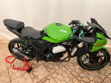 Ricambi Ninja 250r