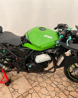 Ricambi Ninja 250r