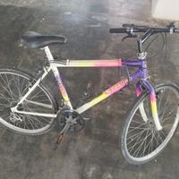2 biciclette a 70€