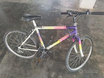 2 biciclette a 70€