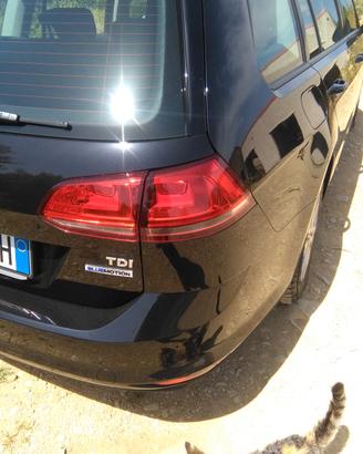 golf 7 1.6 TDI 