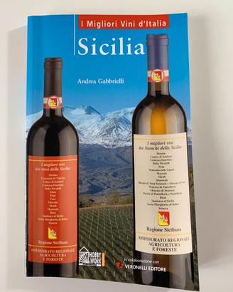 Libro da collezione “I migliori vini d’Italia"