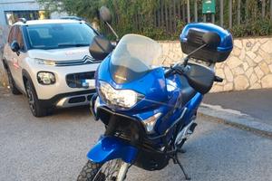 Honda XL 650 V Transalp 38000 2001 DA VETRINA