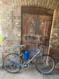 Mountain bike Esperia