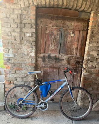 Mountain bike Esperia