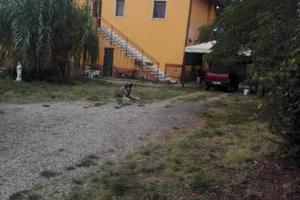 Casa indipendente