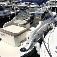 Bayliner 245 motorizzato Mercruiser 7.4