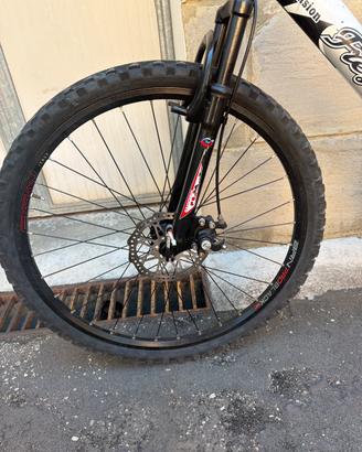 Ruota, forcella e freno