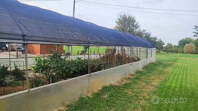 Archi per serra 5x12 m con telo ombreggiante