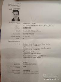 lavapiatti