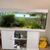 Acquario 450 litri