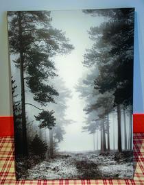 Quadro foresta PJÄTTERYD Ikea - 50x70