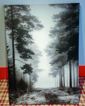 Quadro foresta PJÄTTERYD Ikea - 50x70