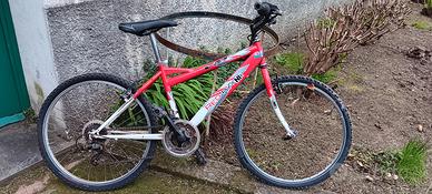 bicicletta ragazzo 24 pollici