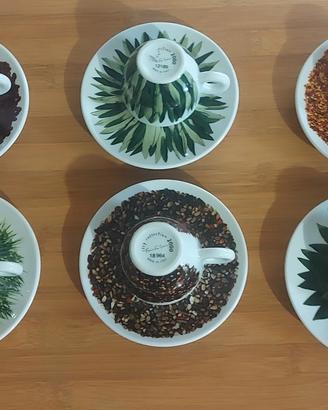 Set tazzine collezione Illy