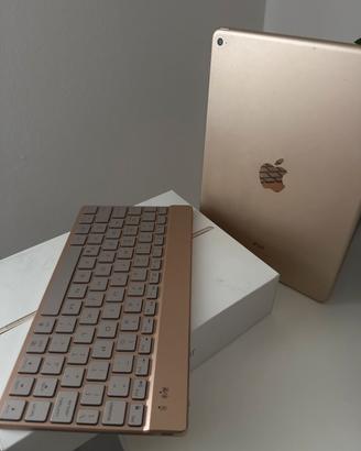 iPad Air 2 32GB perfettamente funzionante