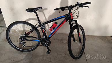 Bicicletta da ragazzo 