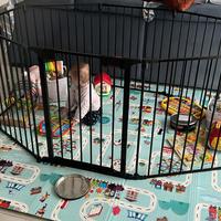 Recinto per bambini e/o animali