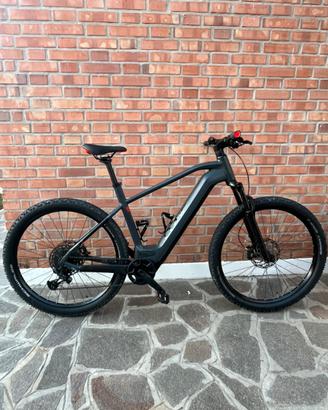 Bici mountan bike assistita