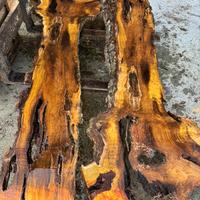 Assi gelso e altre essenze