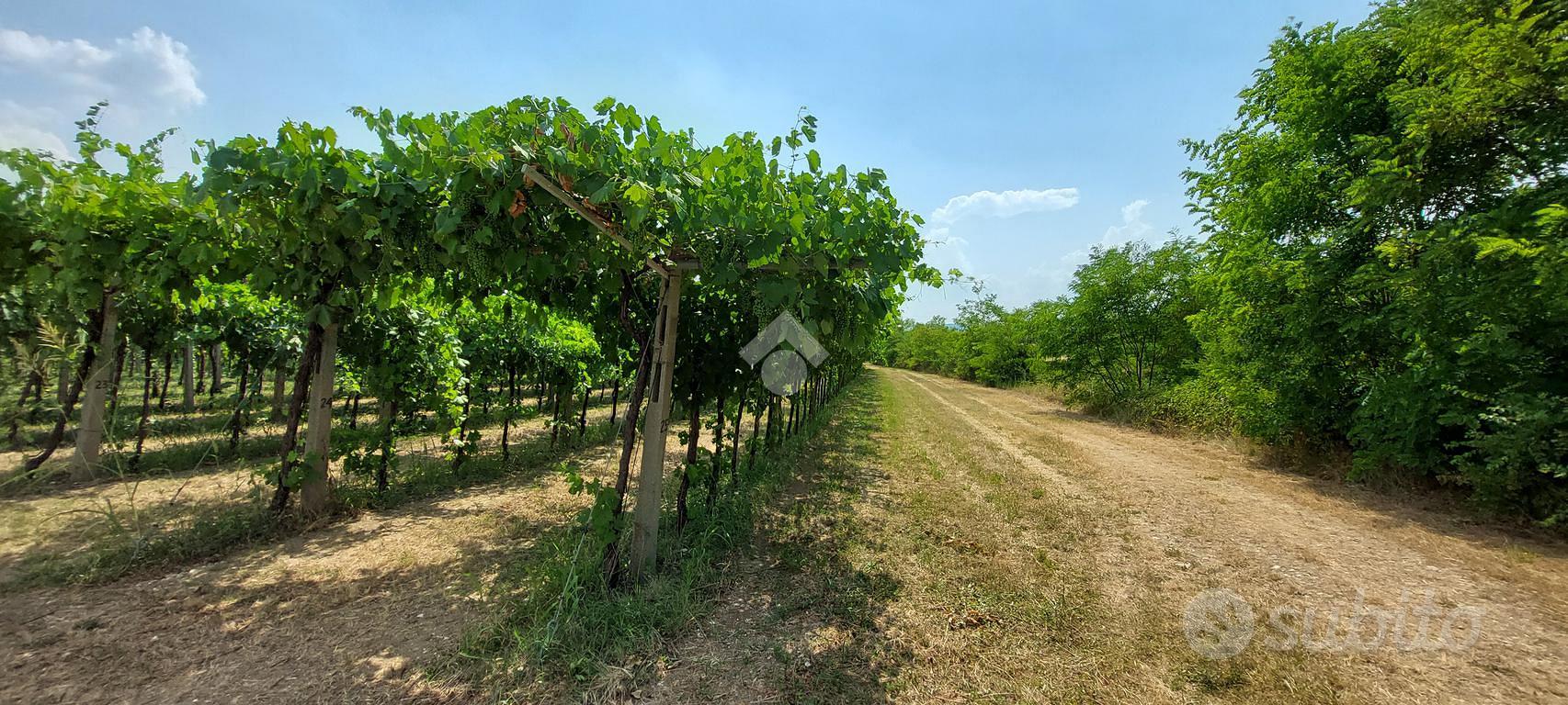 TER. AGRICOLO A CAPRINO VERONESE - Vista 4