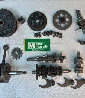 MINARELLI P6 FANTIC MOTOR
