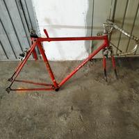 talaio Atala camoagnolo