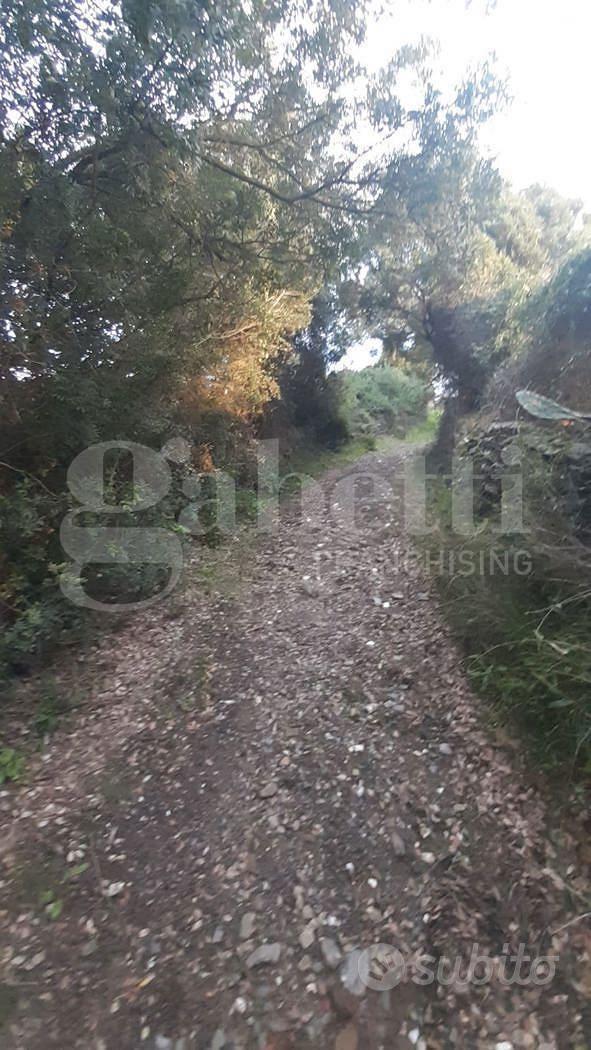 Terreno Agricolo San Basilio [Cod. rif 3330198VCG] - Altro