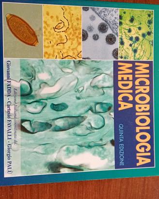 MICROBIOLOGIA MEDICA MURRAY QUINTA EDIZIONE