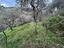 Immagine 13