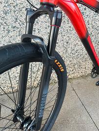 Forcelle rockshox