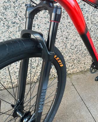 Forcelle rockshox