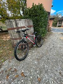 Mountain bike per ragazzo 26