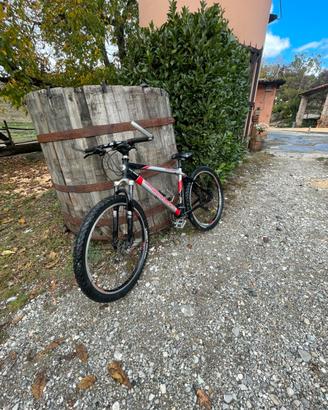 Mountain bike per ragazzo 26