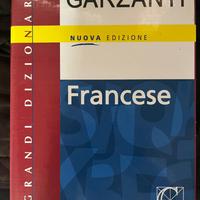Dizionario francese