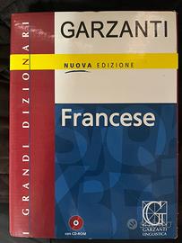 Dizionario francese