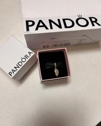 Ciondolo charm Pandora