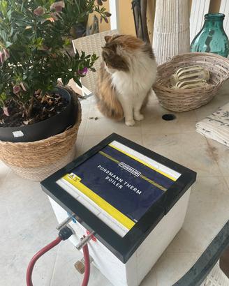 Boiler elettrico 3 litri