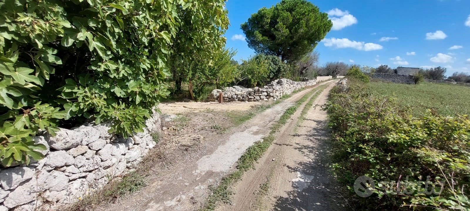 Ampio terreno con casolare - Vista 4
