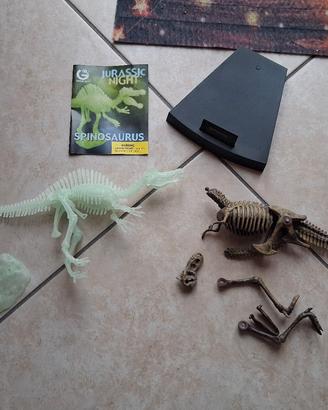 Lotto 2 fossili componibili dinosauri